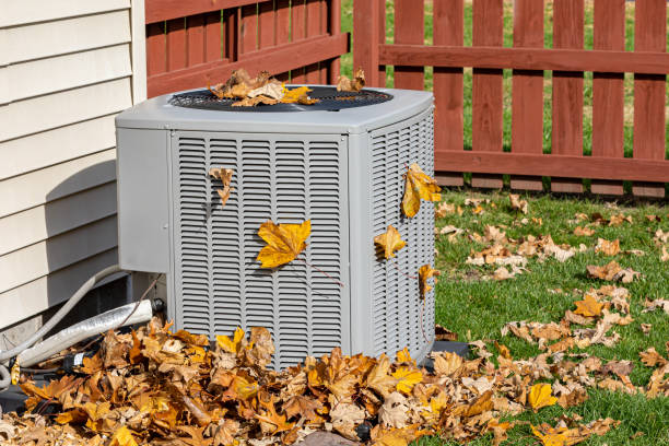 Best Air Filters and Purifiers in Dallas, NC